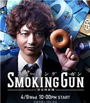 Smoking Gun 决定性证据在线观看和下载