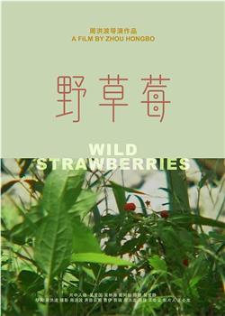 野草莓在线观看和下载