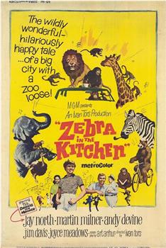 Zebra in the Kitchen在线观看和下载