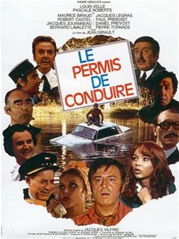 Le permis de conduire在线观看和下载