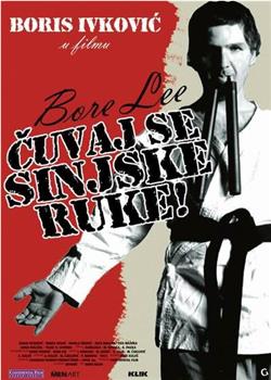 Bore Lee: Čuvaj se sinjske ruke!在线观看和下载