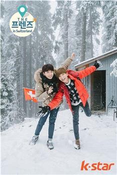 The Friends in Switzerland在线观看和下载