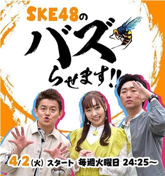 SKE48的网红教室！！在线观看和下载