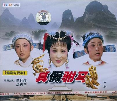 真假驸马在线观看和下载