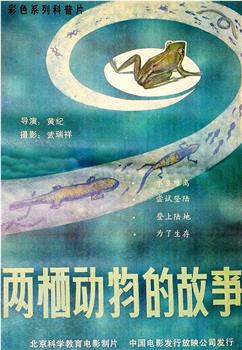两栖动物的故事在线观看和下载