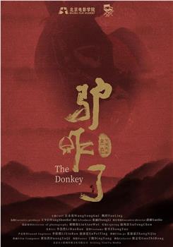 驴咋了在线观看和下载