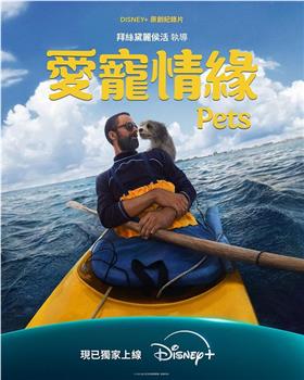 爱宠情缘在线观看和下载