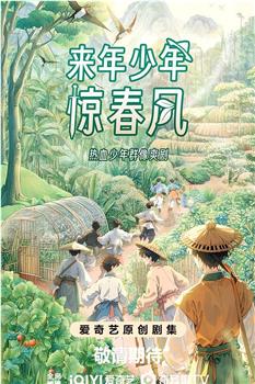 来年少年惊春风在线观看和下载