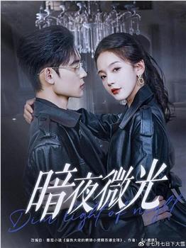 暗夜微光在线观看和下载
