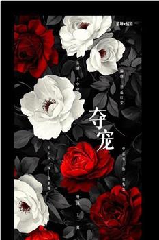 夺宠在线观看和下载
