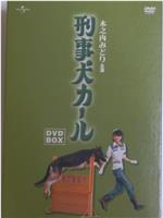 警犬卡尔