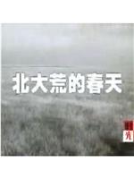 北大荒的春天