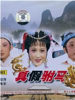 真假驸马