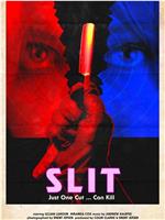 Slit