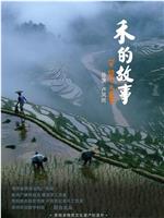 禾的故事