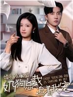 婚礼发癫后奶狗总裁追着我宠