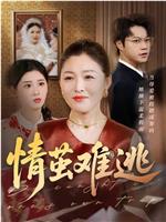 情茧难逃