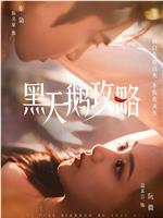 黑天鹅攻略