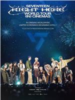 SEVENTEEN [RIGHT HERE] 世界巡回演唱会