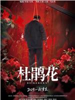 杜鹃花